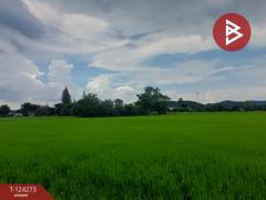 ขายที่ดิน เนื้อที่ 8 ไร่ 1 งาน 24.1 ตร.วา โพธาราม ราชบุรี-202510161535071760603707791.jpg