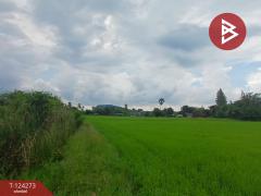 ขายที่ดิน เนื้อที่ 8 ไร่ 1 งาน 24.1 ตร.วา โพธาราม ราชบุรี-202510161535081760603708346.jpg