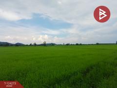 ขายที่ดิน เนื้อที่ 8 ไร่ 1 งาน 24.1 ตร.วา โพธาราม ราชบุรี-202510161535081760603708892.jpg