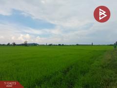 ขายที่ดิน เนื้อที่ 8 ไร่ 1 งาน 24.1 ตร.วา โพธาราม ราชบุรี-202510161535091760603709614.jpg