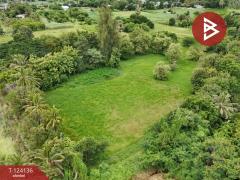 ขายที่ดิน เนื้อที่ 5 ไร่ 2 งาน 45.7 ตารางวา บ้านยาง นครปฐม-202510161559141760605154088.jpg