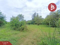 ขายที่ดิน เนื้อที่ 5 ไร่ 2 งาน 45.7 ตารางวา บ้านยาง นครปฐม-202510161559141760605154996.jpg