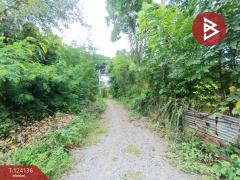 ขายที่ดิน เนื้อที่ 5 ไร่ 2 งาน 45.7 ตารางวา บ้านยาง นครปฐม-202510161559171760605157402.jpg