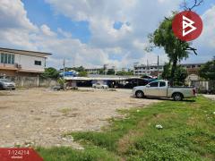 ขายที่ดิน เนื้อที่ 2 งาน 32.2 ตร.วา บางเขน กรุงเทพมหานคร-202510161605261760605526201.jpg