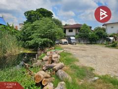 ขายที่ดิน เนื้อที่ 2 งาน 32.2 ตร.วา บางเขน กรุงเทพมหานคร-202510161605301760605530631.jpg