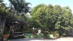 ขายบ้านไม้พร้อมที่ดิน 3 ไร่ 3 งาน บ้านสวยไม้สักทอง พร้อมอยู่ ตำบลตลิ่งชัน เมืองสุพรรณบุรี-202510161624271760606667534.jpg