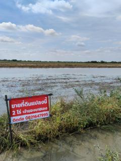 ขายที่ดิน(ยังไม่ถม มีถนนตัดผ่าน) 4 ไร่ คลอง 23 อ.องครักษ์ จ.นครนายก -202510161626491760606809086.jpg