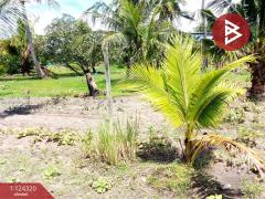 ขายที่ดิน เนื้อที่ 200 ตารางวา ต.หนองหงษ์ อ.พานทอง ชลบุรี-202510161632171760607137538.jpg