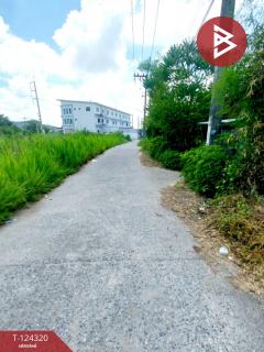 ขายที่ดิน เนื้อที่ 200 ตารางวา ต.หนองหงษ์ อ.พานทอง ชลบุรี-202510161632181760607138660.jpg