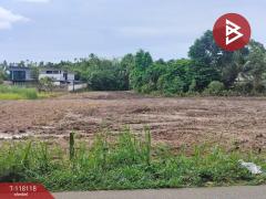 ขายที่ดิน เนื้อที่ 3 ไร่ 1 งาน 97.5 ตร.วา น้ำคอก ระยอง-202510161641391760607699682.jpg