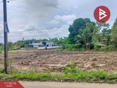 ขายที่ดิน เนื้อที่ 3 ไร่ 1 งาน 97.5 ตร.วา น้ำคอก ระยอง-202510161641401760607700673.jpg