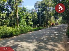 ขายที่ดิน เนื้อที่ 3 ไร่ 1 งาน 97.5 ตร.วา น้ำคอก ระยอง-202510161641431760607703940.jpg