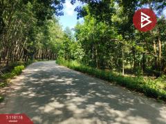 ขายที่ดิน เนื้อที่ 3 ไร่ 1 งาน 97.5 ตร.วา น้ำคอก ระยอง-202510161641441760607704517.jpg