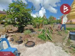 ขายบ้านเดี่ยว เนื้อที่ 1 งาน ดอกคำใต้ พะเยา-202510161658051760608685239.jpg