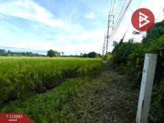 ขายที่ดิน เนื้อที่ 2 ไร่ 8.3 ตร.วา เกาะจันทร์ ชลบุรี-202510161707281760609248052.jpg