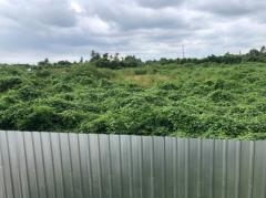 ให้เช่าที่ดิน  4 ไร่ 110 วา ติดถนนซอยประชาอุทิศ 76 ใกล้ถนนพุทธบูชา พระราม 2 เหมาะทำธุรกิจ-202510161911091760616669340.jpg