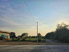 ขายที่ดิน ขนาด 2 ไร่ 1งาน 94 ตารางวา ตำบลกระจิว อำเภอภาชี จังหวัดพระนครศรีอยุธยา