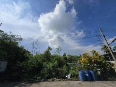 ขายที่ดินแปลงสวย สมุทรสาคร บ้านพัธนชัย คลองมะเดื่อ 6-4 กระทุ่มแบน เหมาะสร้างบ้านพักอาศัย 50 ตรว-202510161945421760618742893.jpg