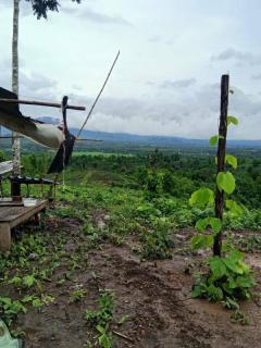 ทีดินราคาถูกที่สุดในเมืองกาญจนบุรีไร่ละ7.9หมื่นเอกสารสิทธ์นส.3ก.ครุเขียว สภาพพื้นที่ ที่ดินเหมือนแถวเขาใหญ่ปากช่องนครราชสีมา -202510170411001760649060010.jpeg