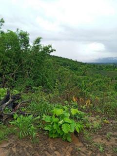 ทีดินราคาถูกที่สุดในเมืองกาญจนบุรีไร่ละ7.9หมื่นเอกสารสิทธ์นส.3ก.ครุเขียว สภาพพื้นที่ ที่ดินเหมือนแถวเขาใหญ่ปากช่องนครราชสีมา -202510170411001760649060982.jpeg