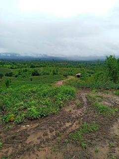 ทีดินราคาถูกที่สุดในเมืองกาญจนบุรีไร่ละ7.9หมื่นเอกสารสิทธ์นส.3ก.ครุเขียว สภาพพื้นที่ ที่ดินเหมือนแถวเขาใหญ่ปากช่องนครราชสีมา -202510170411011760649061464.jpeg