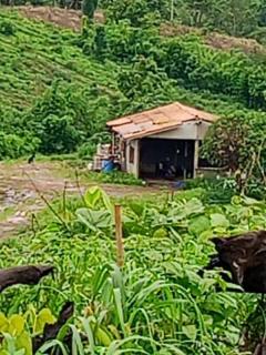 ทีดินราคาถูกที่สุดในเมืองกาญจนบุรีไร่ละ7.9หมื่นเอกสารสิทธ์นส.3ก.ครุเขียว สภาพพื้นที่ ที่ดินเหมือนแถวเขาใหญ่ปากช่องนครราชสีมา -202510170411031760649063186.jpeg