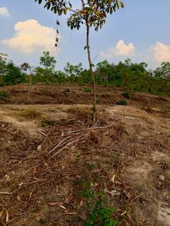 ทีดินราคาถูกที่สุดในเมืองกาญจนบุรีไร่ละ7.9หมื่นเอกสารสิทธ์นส.3ก.ครุเขียว สภาพพื้นที่ ที่ดินเหมือนแถวเขาใหญ่ปากช่องนครราชสีมา -202510170411061760649066002.jpeg