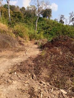 ทีดินราคาถูกที่สุดในเมืองกาญจนบุรีไร่ละ7.9หมื่นเอกสารสิทธ์นส.3ก.ครุเขียว สภาพพื้นที่ ที่ดินเหมือนแถวเขาใหญ่ปากช่องนครราชสีมา -202510170411061760649066608.jpeg