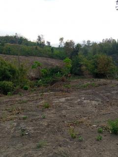 ทีดินราคาถูกที่สุดในเมืองกาญจนบุรีไร่ละ7.9หมื่นเอกสารสิทธ์นส.3ก.ครุเขียว สภาพพื้นที่ ที่ดินเหมือนแถวเขาใหญ่ปากช่องนครราชสีมา -202510170411071760649067178.jpeg