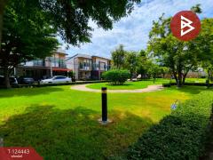 ขายทาวน์เฮ้าส์ หมู่บ้านกัสโต้ พระราม 2 (Gusto rama 2) กรุงเทพมหานคร-202510171100201760673620718.jpg