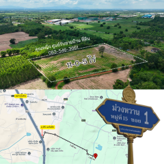 ขายที่ดิน-11-ไร่-บ้านหนองเม็ก-หมู่-15-ซอ