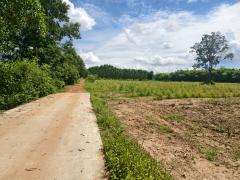 ขายที่ดิน  11 ไร่  บ้านหนองเม็ก   หมู่ 15 ซอยม่วงหวาน ซอย 1 ต.หนองเหียง อ.พนัสนิคม ฝั่งบายพาส  ห่างจาก ถนน311 (1.5 กม.) ไร่ละ 1 ล้าน (รวมโอน)-202510171132281760675548253.jpg