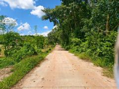 ขายที่ดิน  11 ไร่  บ้านหนองเม็ก   หมู่ 15 ซอยม่วงหวาน ซอย 1 ต.หนองเหียง อ.พนัสนิคม ฝั่งบายพาส  ห่างจาก ถนน311 (1.5 กม.) ไร่ละ 1 ล้าน (รวมโอน)-202510171132371760675557513.jpg