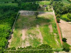 ขายที่ดิน  11 ไร่  บ้านหนองเม็ก   หมู่ 15 ซอยม่วงหวาน ซอย 1 ต.หนองเหียง อ.พนัสนิคม ฝั่งบายพาส  ห่างจาก ถนน311 (1.5 กม.) ไร่ละ 1 ล้าน (รวมโอน)-202510171132471760675567604.jpg