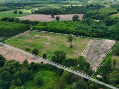 ขายที่ดิน  11 ไร่  บ้านหนองเม็ก   หมู่ 15 ซอยม่วงหวาน ซอย 1 ต.หนองเหียง อ.พนัสนิคม ฝั่งบายพาส  ห่างจาก ถนน311 (1.5 กม.) ไร่ละ 1 ล้าน (รวมโอน)-202510171132521760675572031.jpg