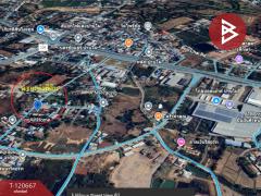 ขายที่ดิน เนื้อที่ 2 งาน 21.4 ตารางวา บ้านไผ่ ขอนแก่น ทำเลดี-202510171137181760675838309.jpg