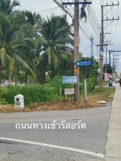 ขายที่ดิน 5 ไร่ พร้อมบ้านพักสไตล์รีสอร์ท ติดคลองสวย พร้อมโอน บ้านแพ้ว 4 ตำบลหลักสาม สมุทรสาคร -202510171207291760677649527.jpg