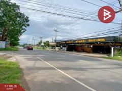 ขายบ้านเดี่ยวพร้อมกิจการ เนื้อที่ 11 ไร่ 3 งาน 12.7 ตารางวา อ.บ้านไผ่ ขอนแก่น ทำเลดี-202510171215241760678124328.jpg