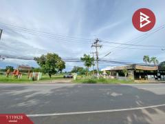 ขายบ้านเดี่ยวพร้อมกิจการ เนื้อที่ 11 ไร่ 3 งาน 12.7 ตารางวา อ.บ้านไผ่ ขอนแก่น ทำเลดี-202510171215241760678124864.jpg