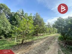 ขายที่ดิน เนื้อที่ 6 ไร่ 2 งาน 99.7 ตร.วา ท่าแซะ ชุมพร