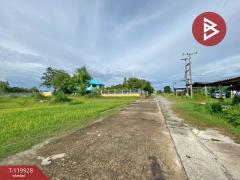 ขายบ้านเดี่ยวพร้อมกิจการ เนื้อที่ 11 ไร่ 3 งาน 12.7 ตารางวา อ.บ้านไผ่ ขอนแก่น ทำเลดี-202510171215251760678125514.jpg