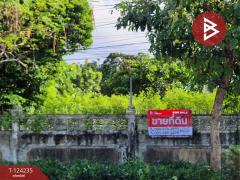 ขายที่ดิน-เนื้อที่-1-งาน-49.5-ตร.วา-สะพาน