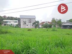 ขายที่ดิน 2 แปลง เนื้อที่รวม 2 งาน 23.6 ตารางวา โครงการเซนต์แอนดรูว์วิลเลจ ระยอง-202510171245241760679924865.jpg