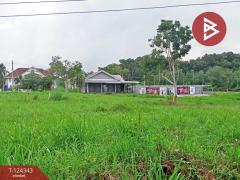 ขายที่ดิน 2 แปลง เนื้อที่รวม 2 งาน 23.6 ตารางวา โครงการเซนต์แอนดรูว์วิลเลจ ระยอง-202510171245251760679925403.jpg