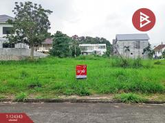 ขายที่ดิน 2 แปลง เนื้อที่รวม 2 งาน 23.6 ตารางวา โครงการเซนต์แอนดรูว์วิลเลจ ระยอง-202510171245261760679926663.jpg