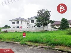 ขายที่ดิน 2 แปลง เนื้อที่รวม 2 งาน 23.6 ตารางวา โครงการเซนต์แอนดรูว์วิลเลจ ระยอง-202510171245271760679927204.jpg