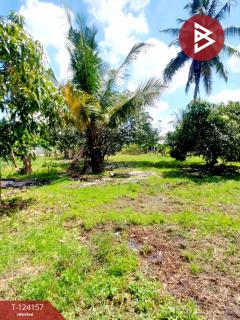 ขายที่ดิน-เนื้อที่-250-ตารางวา-อ.พานทอ