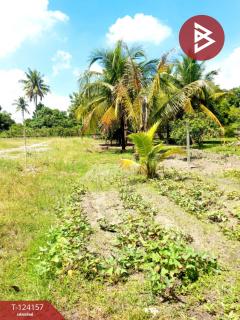 ขายที่ดิน เนื้อที่ 250 ตารางวา อ.พานทอง ชลบุรี-202510171252541760680374218.jpg