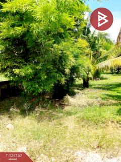 ขายที่ดิน เนื้อที่ 250 ตารางวา อ.พานทอง ชลบุรี-202510171252551760680375276.jpg