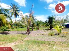 ขายที่ดิน เนื้อที่ 250 ตารางวา อ.พานทอง ชลบุรี-202510171252551760680375829.jpg